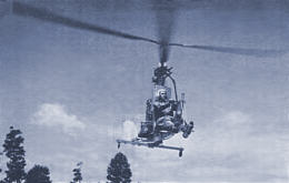 Little Zipster in the air