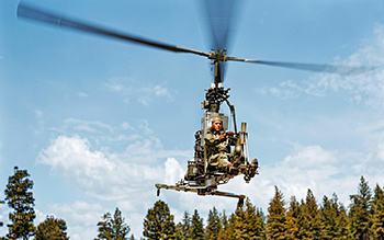 Little Zipster in the air